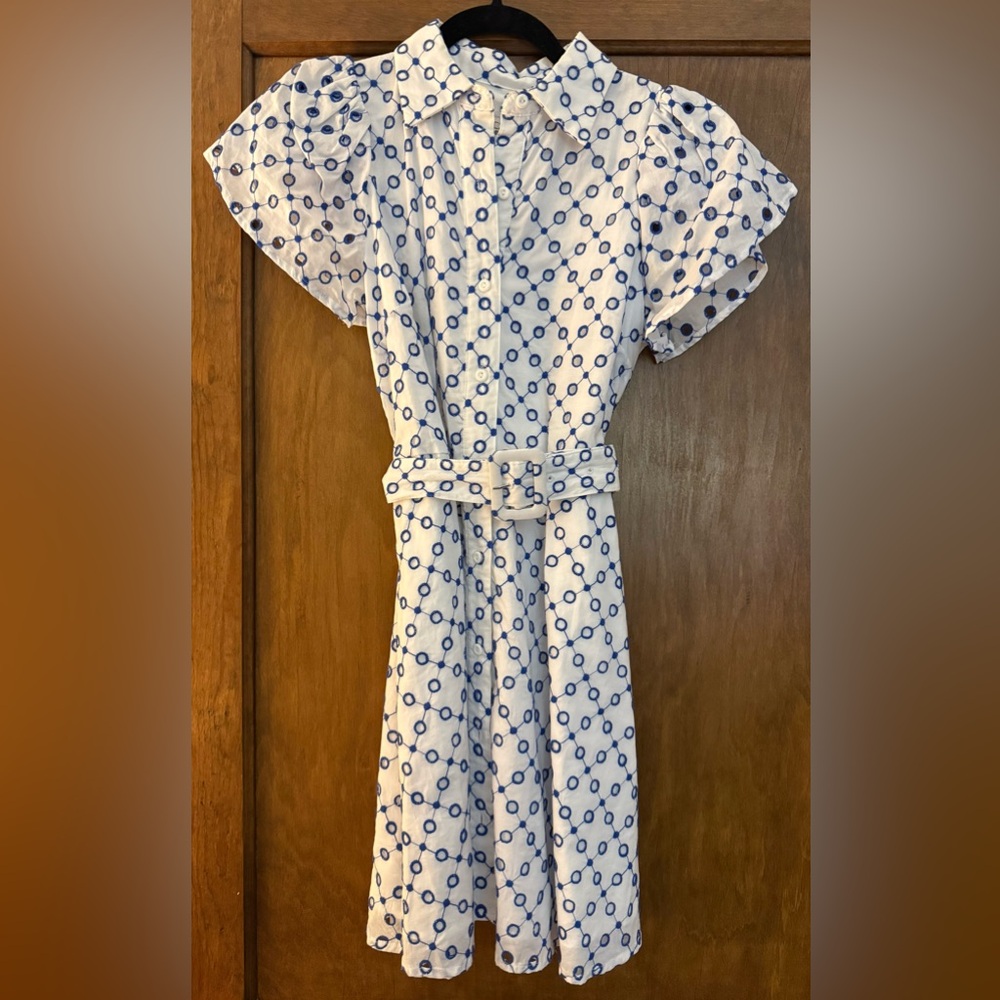Alexis White and Blue Mini Dress